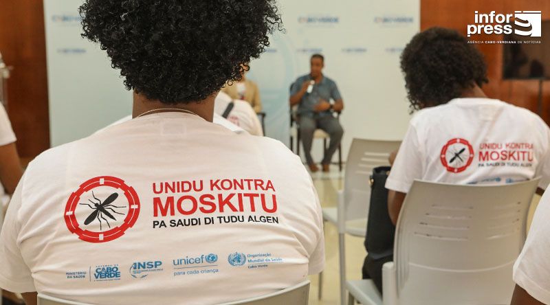 Dengue: País regista hoje 144 casos confirmados e nenhum óbito pelo vírus