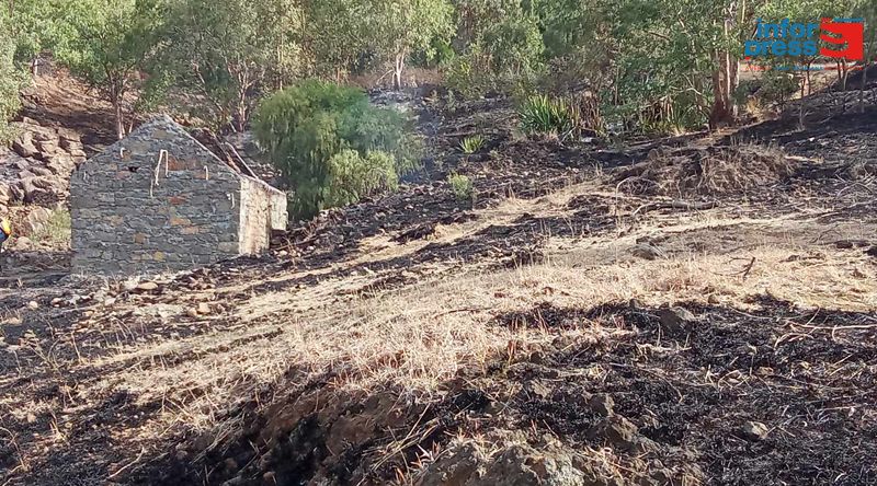 Porto Novo: Amupal preocupada com incêndios florestais em Ribeirão Fundo que põe em risco as populações