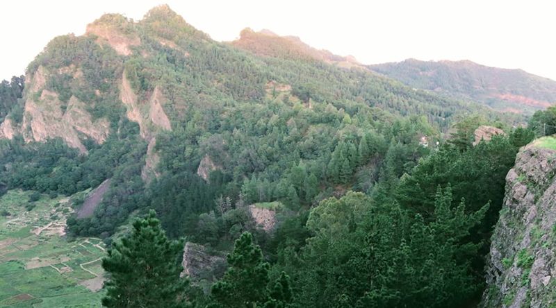 Santo Antão: Amupal persegue o sonho de produzir vinho no Planalto Leste