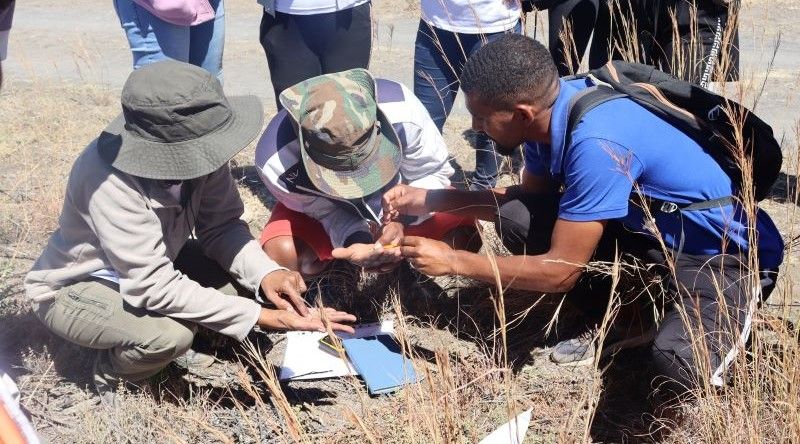 Santo Antão: Terrimar e Biflores juntas na salvaguarda das plantas endémicas dos parques naturais