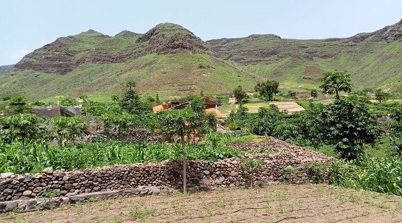 Porto Novo/Ponte Sul: Famílias com dificuldades na preparação de terrenos aliviadas com projecto de agricultura familiar