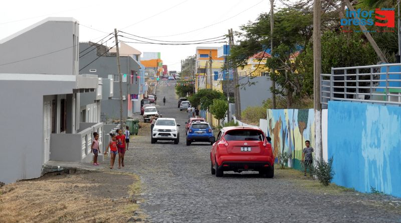 Santa Catarina do Fogo: Campanha de registo e castração de cães e gatos centralizada em Chã das Caldeiras e Cova Figueira