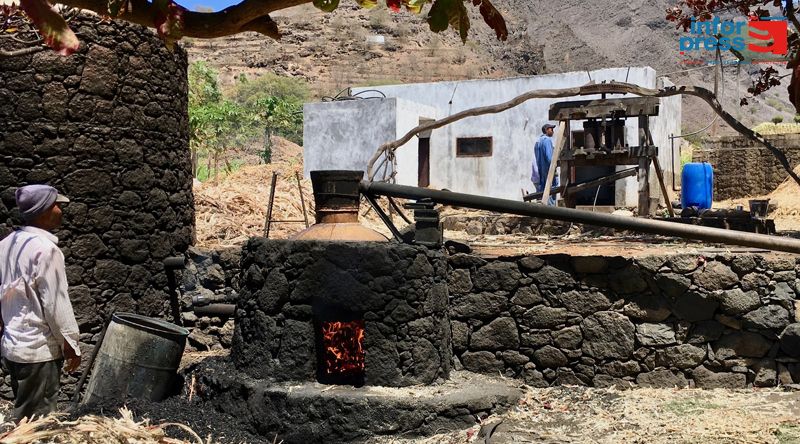 Santo Antão: Exportação do grogue para o mercado europeu pode aumentar em 2025