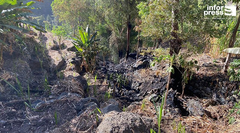 Paul: Incêndio deflagra em propriedade agrícola privada entre as localidades de Passagem e Lombinho