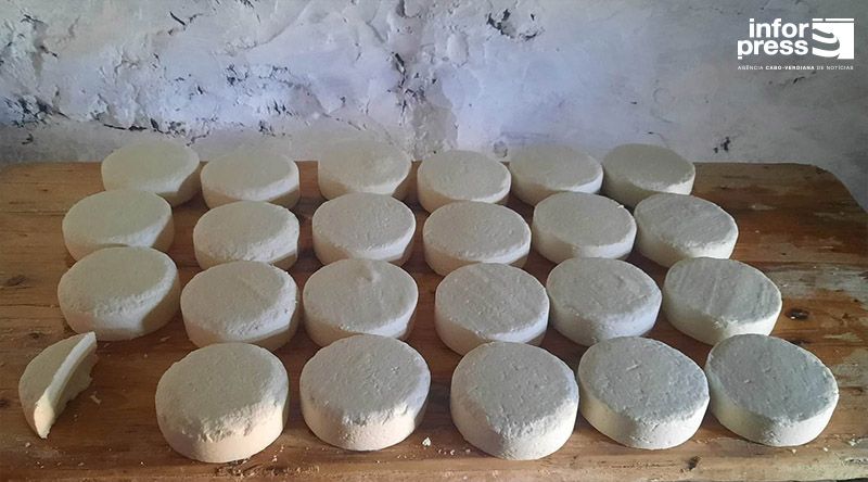 Porto Novo/Planalto Norte: Produtores trabalham para conseguir a certificação do queijo - representante