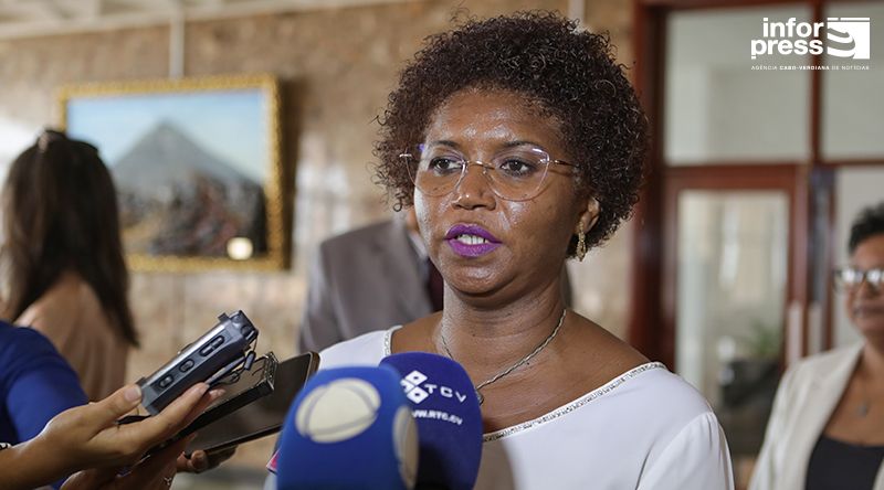 Presidente da Colmeia diz que já apoiaram 150 famílias desfavorecidas com a campanha Amigos de Colmeia (c/áudio)