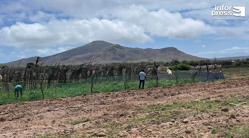 Boa Vista: Governo vai conceder terrenos a agricultores e criadores