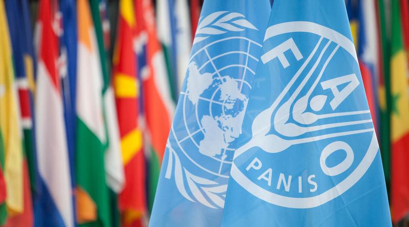 Presidente da República condecora FAO pelo “inestimável contributo” no desenvolvimento de Cabo Verde