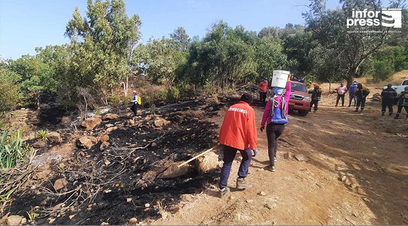 Santo Antão/Planalto Leste: Mais de 17 hectares de floresta ardida em apenas uma semana – Protecção Civil