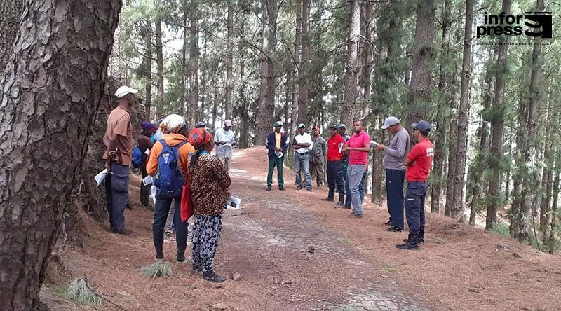 Porto Novo: Bombeiros voluntários estendem serviço de piquete para 24 horas durante a passagem da onda tropical