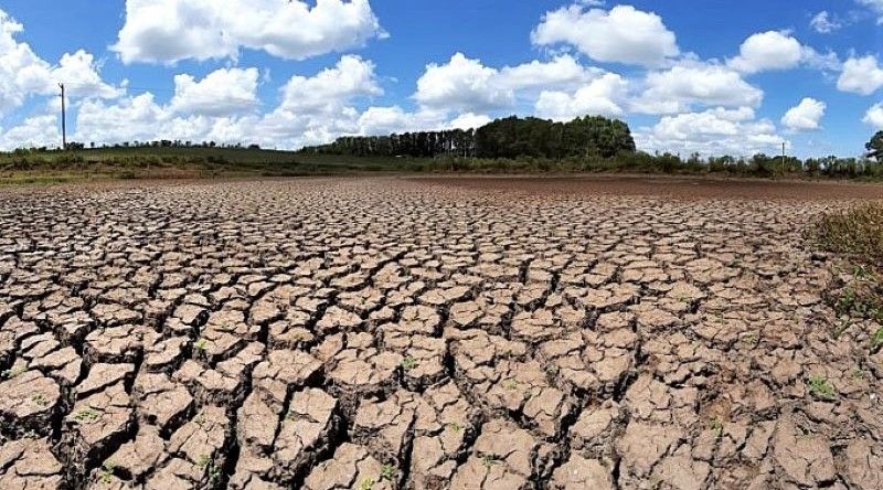 Zimbabué declara estado de calamidade devido à seca e pede ajuda internacional