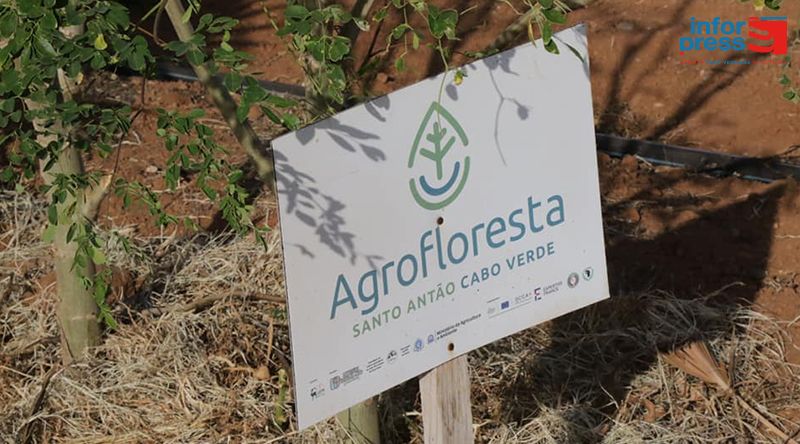 Porto Novo: Casa de Meio vai ter eco-espaço para realização de experiências agrícolas sustentáveis