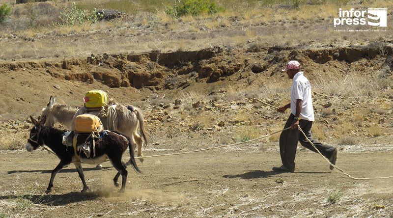 Porto Novo: Moradores do Planalto Norte pedem água auto-transportada para amenizar escassez