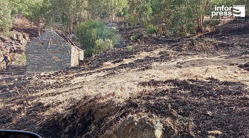 Porto Novo: Serviços da Protecção Civil “preocupados” com queimadas nas zonas agrícolas