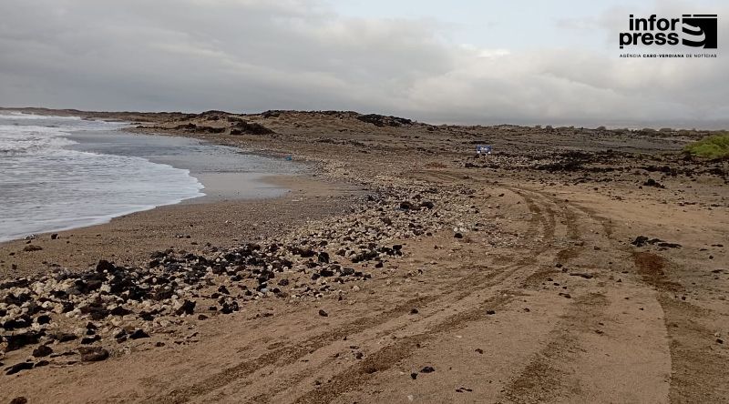 Porto Novo: Organização ambiental desaconselha uso de moto-quatro nas praias de desova de tartarugas      