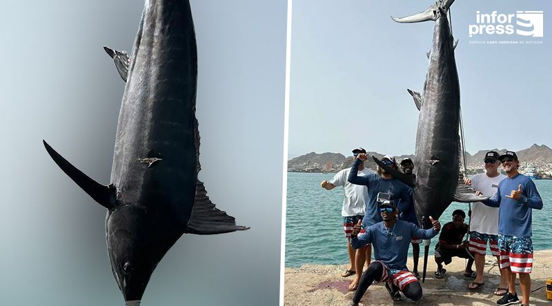 Cabo Verde vence campeonato mundial de pesca do ‘espadarte’ pela sétima vez (c/áudio)