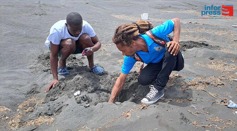 Patrulhas ambientais em Santa Cruz protegem mais de 300 ninhos de tartarugas marinhas