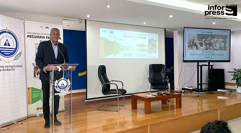 Pecuária: Governo lança programa de 282 mil contos para tornar sector economicamente rentável (c/áudio)