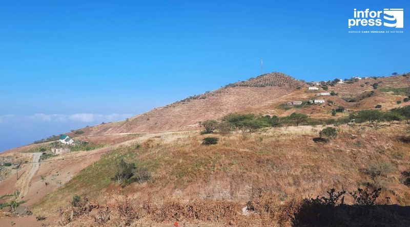 Porto Novo: Chuva mansa no Planalto Norte deixa animados os criadores de gado