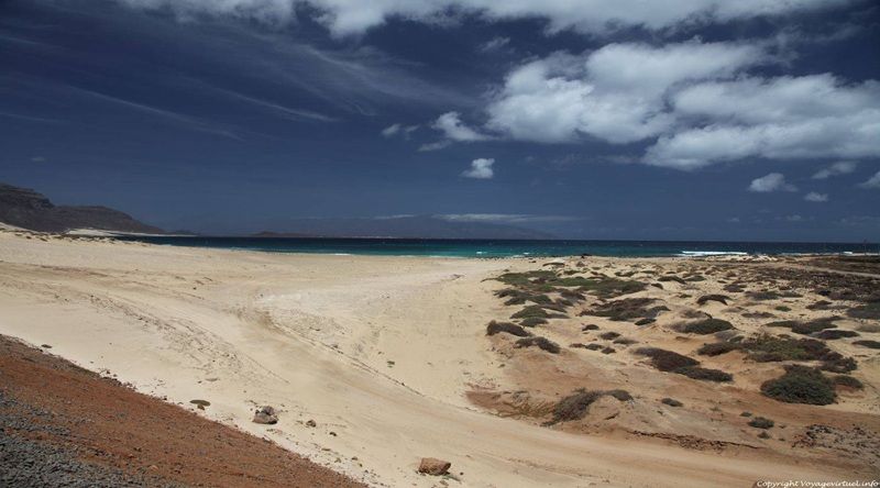 São Vicente: Biosfera chama atenção para apanha de areia em Praia Grande com risco para sustentabilidade ecológica