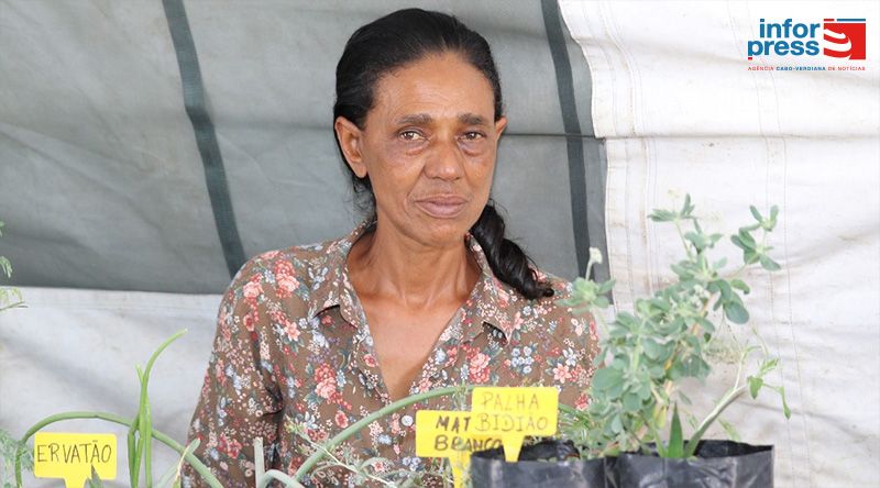 Porto Novo/Planalto Leste: Amupal marca eleições para novos órgãos associativos para Fevereiro