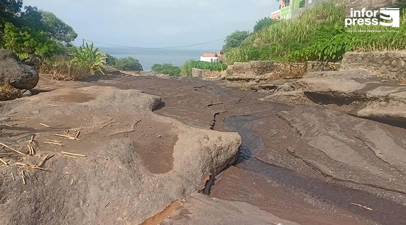 Porto Novo/Tarrafal de Monte Trigo: Produtores do inhame pedem apoio ao Governo para retomar a sua actividade