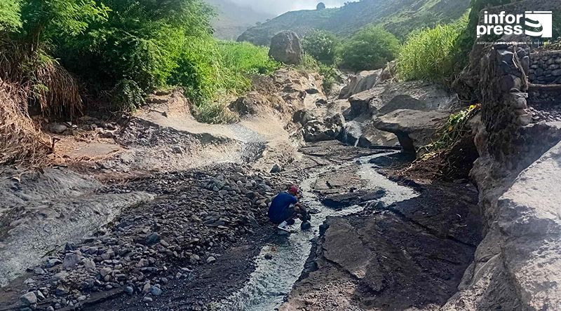 Porto Novo: Produtores do inhame tentam reerguer-se enquanto esperam pelos apoios do Governo