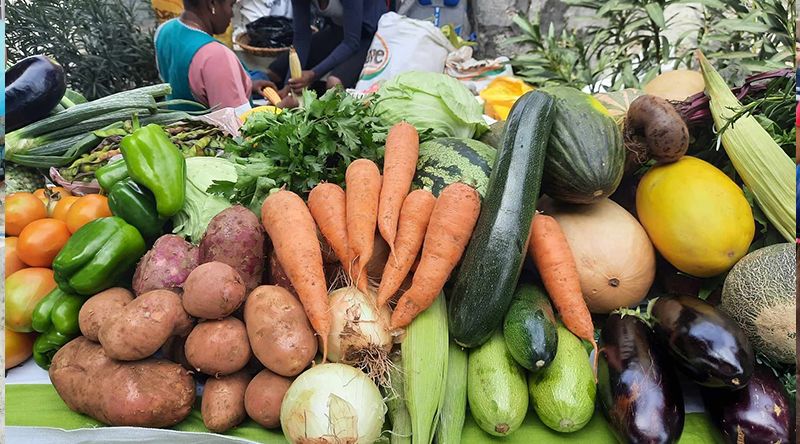 Porto Novo/Ribeira das Patas: Edilidade e Paróquia de São João Paulo II de mãos dadas na valorização da produção local