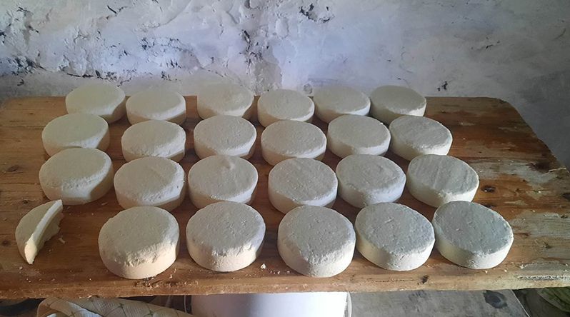 Porto Novo: Produtores vêem “com bons olhos” a feira do queijo do Planalto Norte