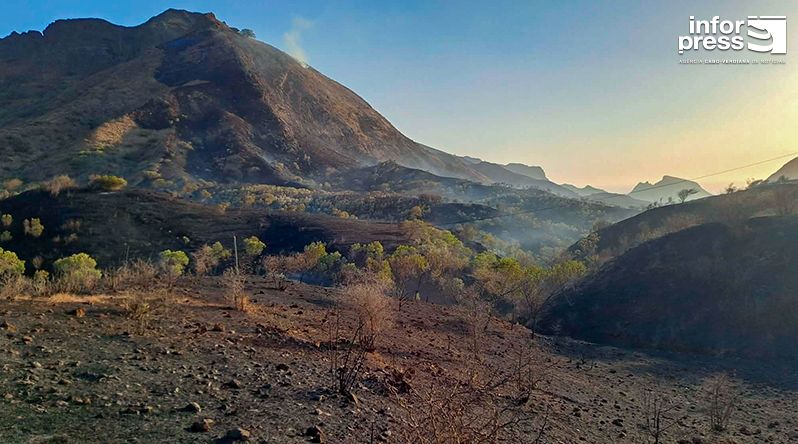 Santa Catarina: Bombeiros alertam para risco de queimadas na preparação de terrenos agrícolas