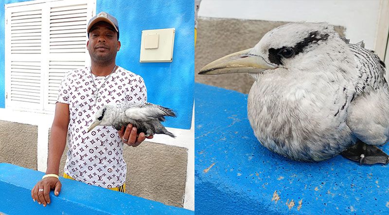 Tarrafal de Monte Trigo: Associação destaca gesto de pescador “que faz a diferença” na protecção da biodiversidade