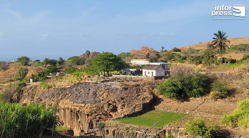 Porto Novo/Agricultura: Vales agrícolas com maior disponibilidade de água com a recarga das nascentes pelas recentes chuvas