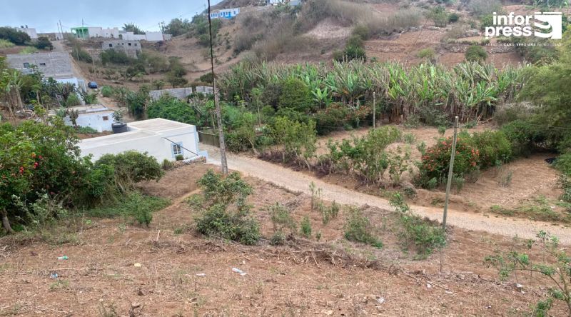 Brava: Agricultores preparam terrenos para novo ano agrícola com optimismo, mas alertam para escassez de mão de obra