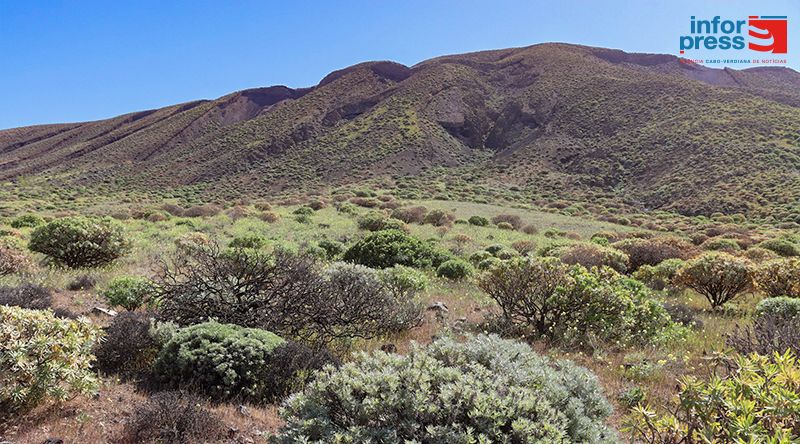 Porto Novo: Delegado enaltece aposta na protecção do Parque Natural de Tope de Coroa ameaçado pelo pastoreio livre