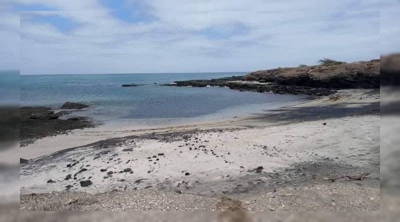 Fogo: Projecto Vitó acolhe formação regional sobre monitorização das aves marinhas e gestão de ameaças